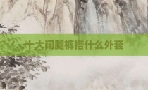 十大阔腿裤搭什么外套