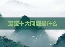 宝宝十大问题是什么