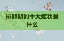 排卵期的十大症状是什么
