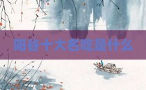 阳谷十大名吃是什么