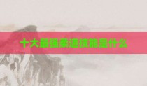 十大最强柔道技能是什么