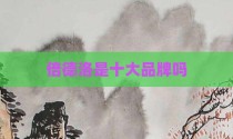 倍德洛是十大品牌吗