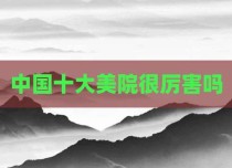 中国十大美院很厉害吗