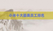 小米十大最美员工排名