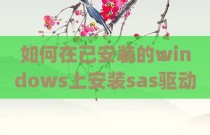 如何在已安装的windows上安装sas驱动