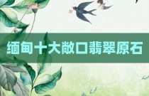 缅甸十大敞口翡翠原石