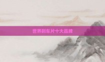 世界刹车片十大品牌