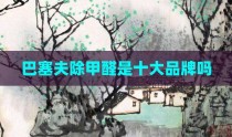 巴塞夫除甲醛是十大品牌吗
