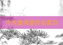 十大金乌是什么实力