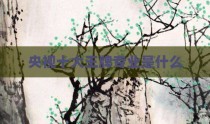 央视十大王牌专业是什么
