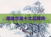 德维尔是十大品牌吗
