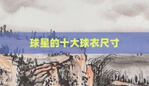 球星的十大球衣尺寸