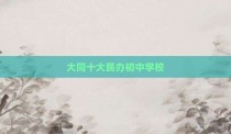 大同十大民办初中学校