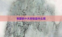朱茵的十大好处是什么呢