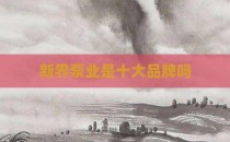 新界泵业是十大品牌吗