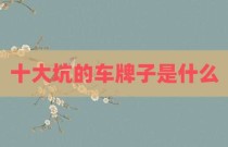 十大坑的车牌子是什么