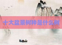 十大盆景树种是什么树