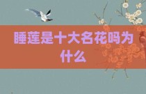 睡莲是十大名花吗为什么