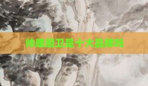 帅康厨卫是十大品牌吗