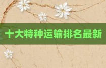 十大特种运输排名最新