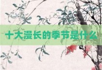 十大漫长的季节是什么