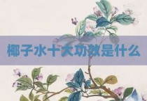 椰子水十大功效是什么