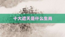 十大遮天是什么生肖