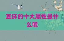 耳环的十大属性是什么呢