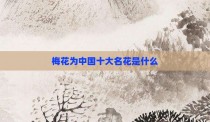 梅花为中国十大名花是什么