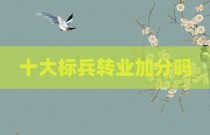 十大标兵转业加分吗