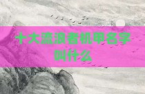 十大流浪者机甲名字叫什么