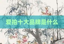 爱拍十大品牌是什么