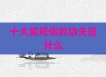 十大笑死你的功夫是什么
