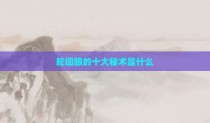 轮回眼的十大秘术是什么