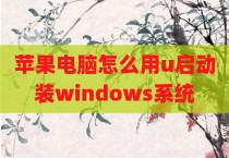苹果电脑怎么用u启动装windows系统