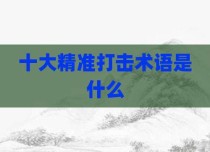 十大精准打击术语是什么