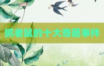 抓老鼠的十大奇葩事件