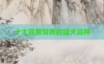 十大容易饲养的猛犬品种
