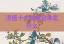 漫画十大技能名称是什么