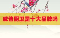 威普厨卫是十大品牌吗