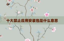十大禁止应用安装包是什么意思