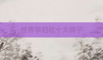 世界孕妇枕十大牌子