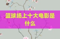 篮球场上十大电影是什么