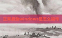 正常启动windows是怎么操作