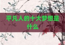 平凡人的十大梦想是什么