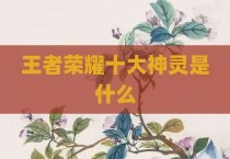 王者荣耀十大神灵是什么