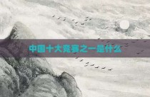 中国十大竞赛之一是什么