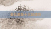 嘉仕盾是十大品牌吗
