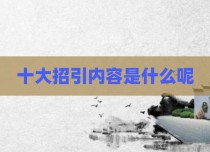 十大招引内容是什么呢