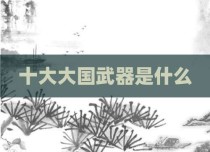 十大大国武器是什么